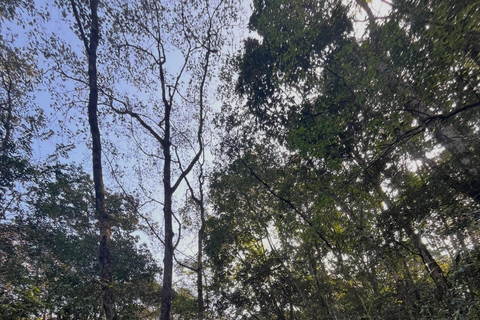 From Kathmandu: Shivapuri Nagarjun–Bagdwar Guided Hike