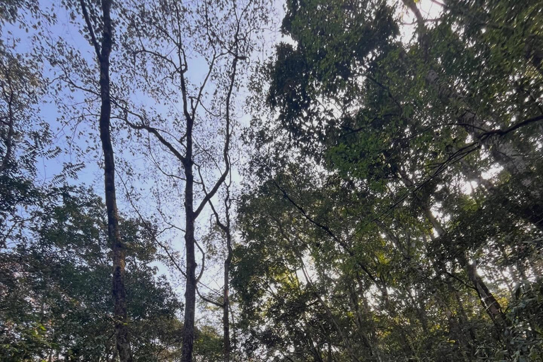 From Kathmandu: Shivapuri Nagarjun–Bagdwar Guided Hike