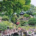 Giardino del Mandarino Yu a Shanghai: biglietto d'ingresso ufficiale e accesso rapido