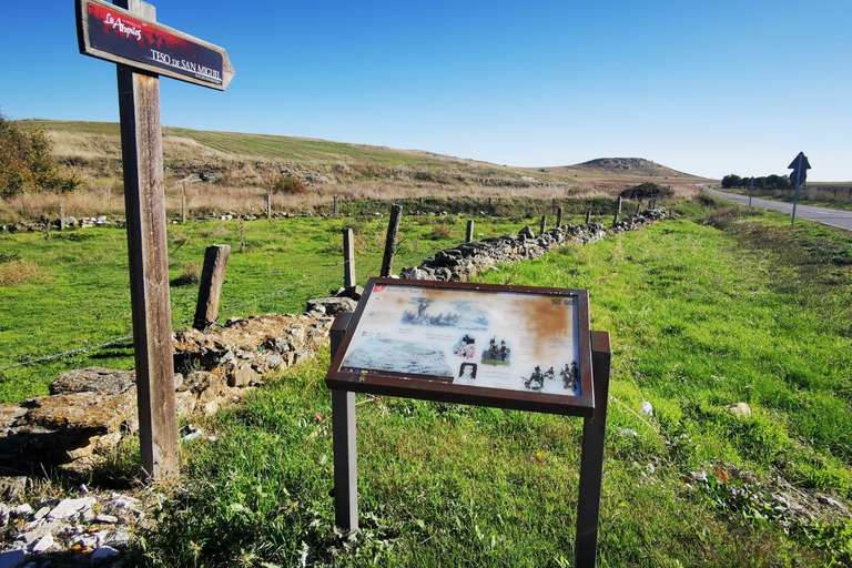 Salamanca: Prywatne pola bitewne w Salamance Half-Day TripSalamanka: Prywatna półdniowa wycieczka do pól bitewnych Salamanki