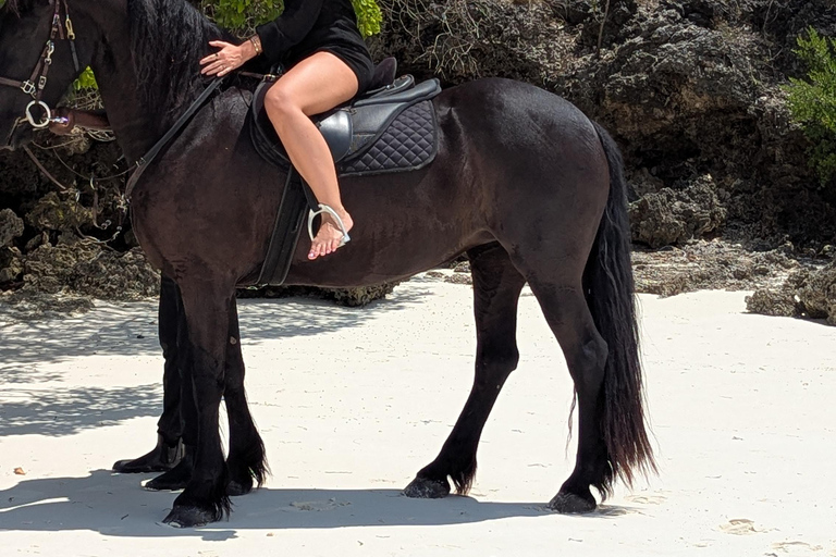 Zanzibar: Beach Horse Riding At Jambiani With Hotel Pick up PRIVATE TOUR WITH HOTEL PICK UP & NO ENTRY FEE INCLUDE