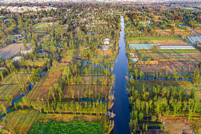 Xochimilco y Coyoacán Tour privado + TransporteSolo Tour (Tour privado para 1 persona)