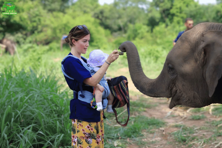 Chiang Mai: Halbtag Living Green Elephant SanctuaryVormittagssitzung: Halbtag Living Green Elephant Sanctuary