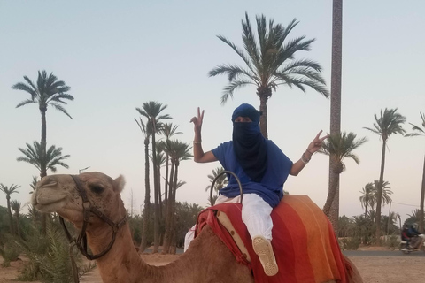 Balade à dos de chameau dans la Palmerie de MarrakechPromenade à dos de chameau à Marrakech