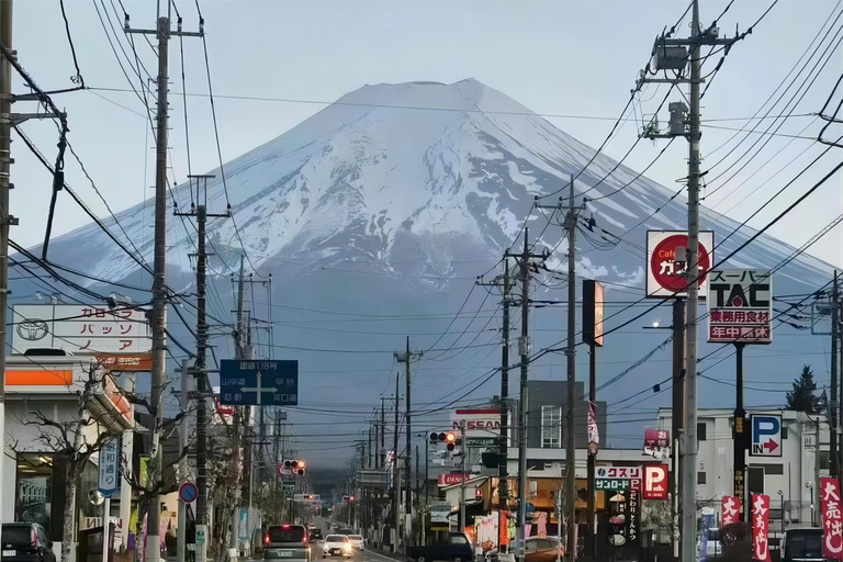 Tokio: Mt. Fuji &amp; Kawaguchi See Instagram TagestourVon Tokio aus: Berg Fuji und Oshino Hakkai Familienspaß-Tour