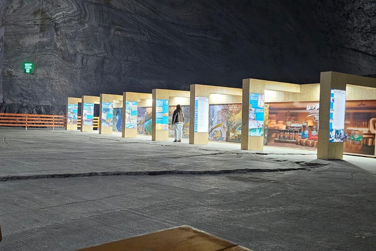 Bucharest: Salt Mine-Dracula Tomb & Carpathian Villages Tour Bucharest: Salt Mine & Dracula Tomb Private Tour