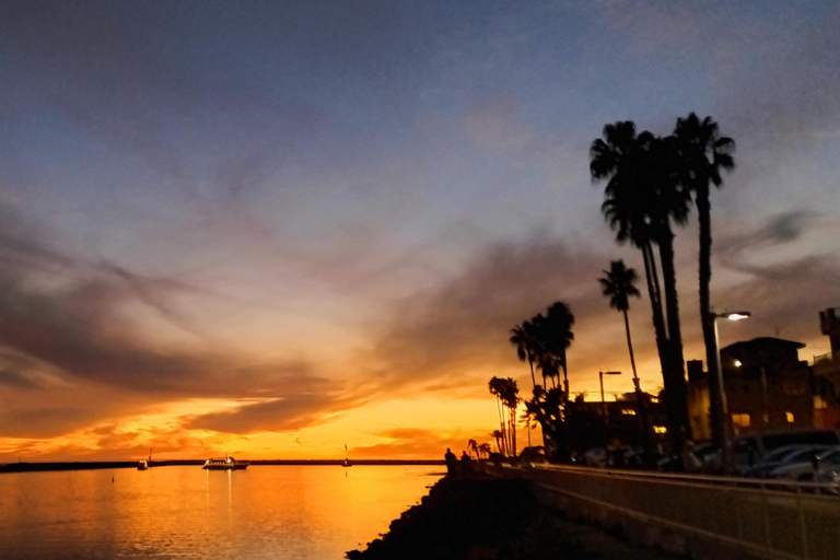 Karaoke Boat Cruise ( Drinks included) LA's best attraction Venice Beach photo Shoot with celebrity fashion photographer