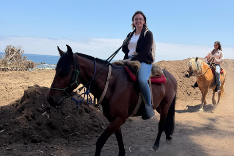 From Santiago: Papudo Lobos Island Boat & Horseback Ride