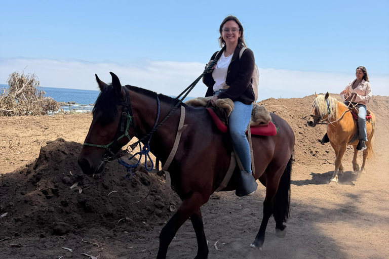 From Santiago: Papudo Lobos Island Boat & Horseback Ride