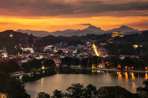 Vanuit Colombo : Dagtrip naar Kandy/ Pinnwala/ Royal Gardens