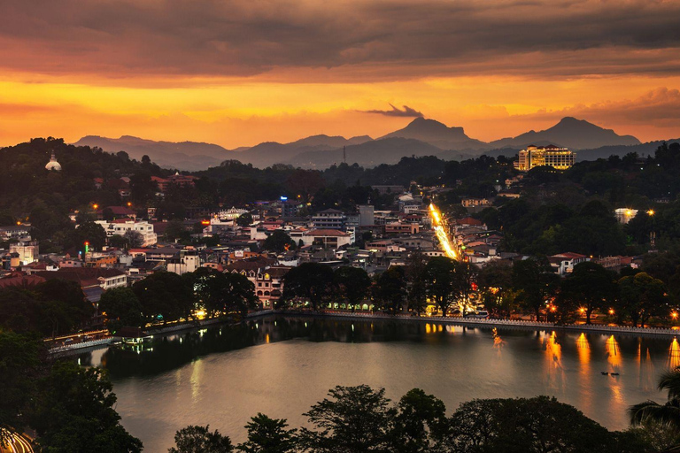 De Colombo - Viagem de 1 dia para Kandy/ Pinnwala/ Royal Gardens