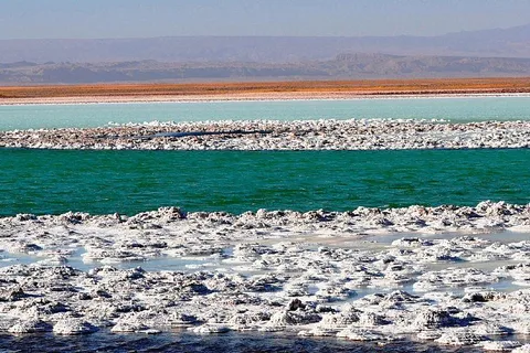 CEJAR LAGOON, SALT FLAT EYES AND TEBINQUINCHE LAGOON
