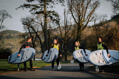 From Dublin: Stand Up Paddleboarding Experience