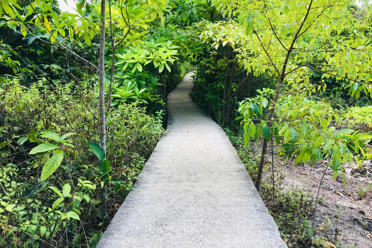 Krabi: Emerald Pool and Hot Spring Waterfall with ATV Riding