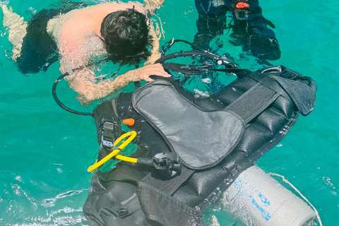 Daymaniyat Islands Scuba Diving Experience with Photos