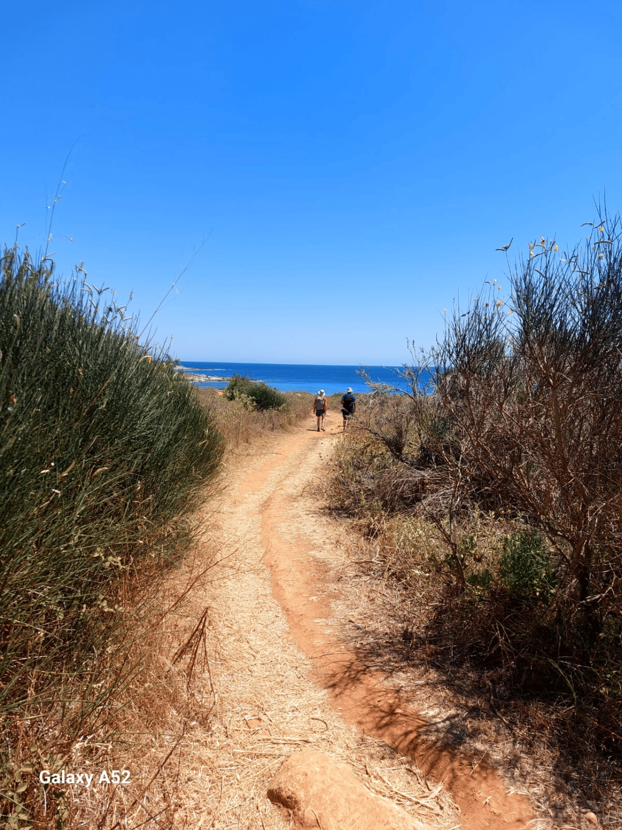 Ab Lecce: Wanderung in Porto Selvaggio, Schwimmen und Besuch von Gallipoli