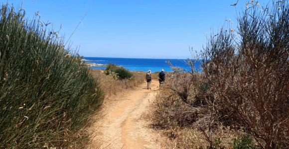 From Lecce: Porto Selvaggio Hike, Bay Swim & Gallipoli Visit