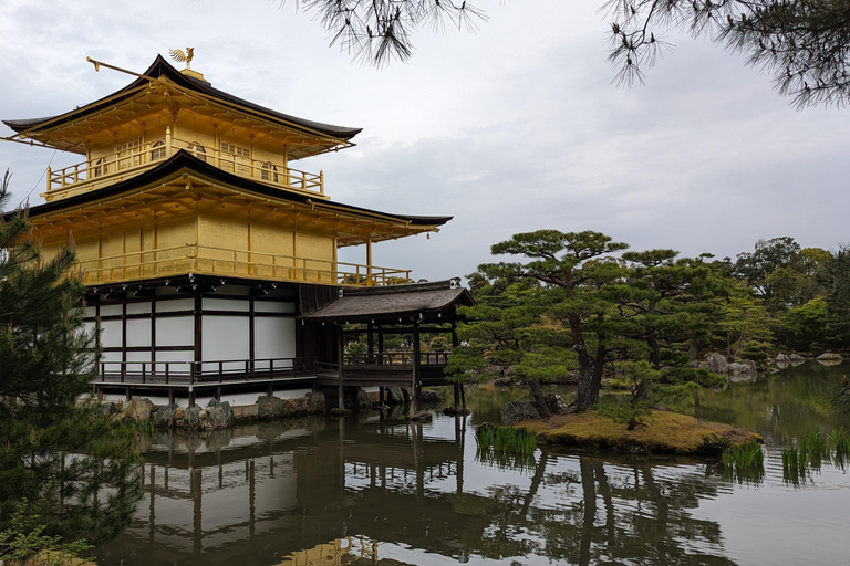 Full-Day Kyoto Walking Tour: Most Iconic Landmarks & Monkeys Shared Tour with English/German Speaking Guide