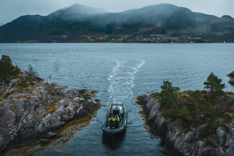 Majesteit Rosendal: Exclusief RIB avontuur in HardangerfjordRosendal: privé RIB-safaritocht door Hardangerfjord