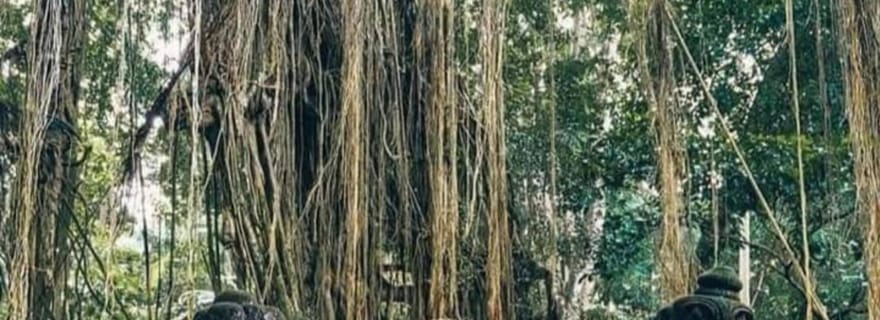 Visites privatives : Tegallalang, forêt des singes et cascade