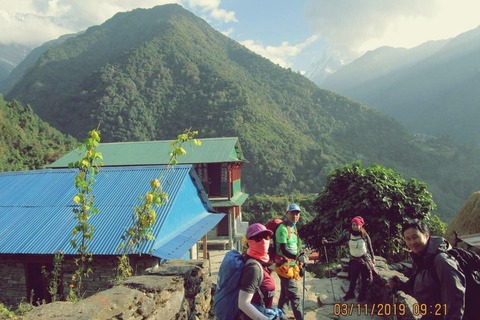 From Pokhara: 5 Day Annapurna Basecamp Trek with Local Guide