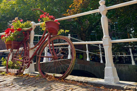 Amsterdam: Delft and The Hague Day Trip -Car Museum *