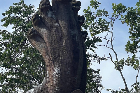 Tour privato di un giorno Preah Vihear, Koh Ker e Beng MealeaMinivan