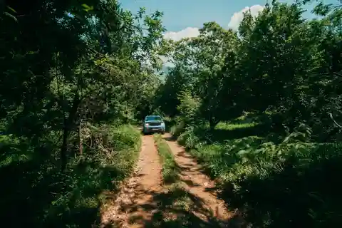 Kotor: Jeeptour zum versteckten Steindorf & Lebensmittelverkostung