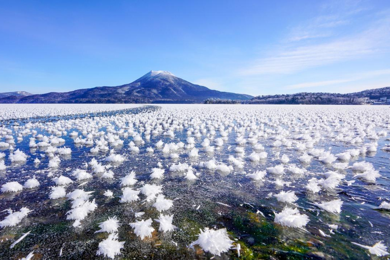 Sapporo: Hokkaido Snowy Wilderness Day Tour