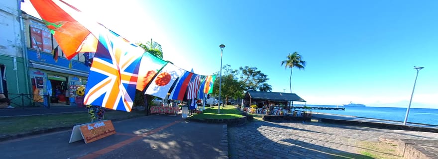 Côte nord des Caraïbes et forêt tropicale - Excursion d'une journée