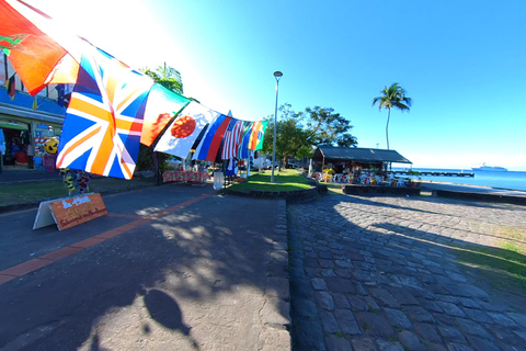 NOORD CARIBISCHE KUST EN TROPISCH WOUD HELE DAG TOUR