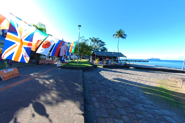 NOORD CARIBISCHE KUST EN TROPISCH WOUD HELE DAG TOUR