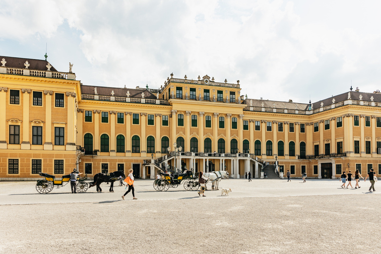 Vienna: Panorama Train Tickets to explore Schönbrunn Palace Panorama Train Ticket to Schönbrunn Park Area