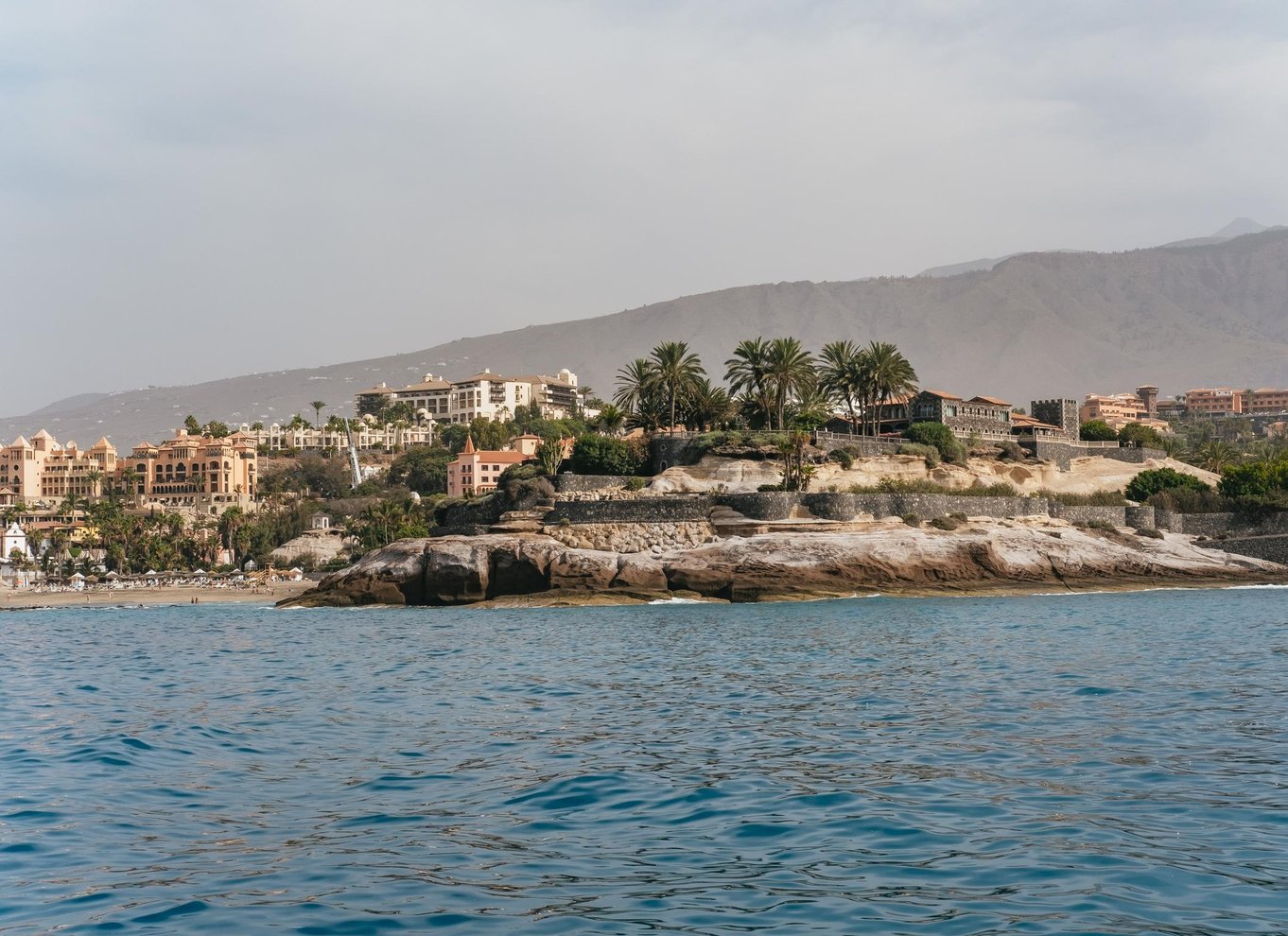 Costa Adeje: Økokrydstogt med hvaler og delfiner med snacks og drikkevarer