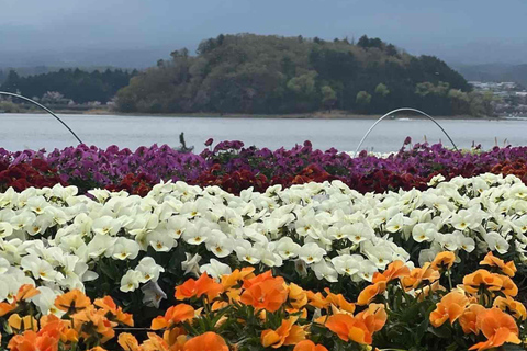 Tokyo: Mount Fuji Affordable Customizable Private 1-Day Tour Mount Fuji one day Private tour in Luxury Land Cruiser