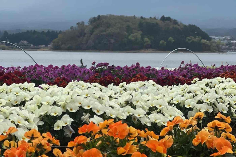 Tokyo: Mount Fuji Affordable Customizable Private 1-Day Tour Mount Fuji one day Private tour in Luxury Land Cruiser