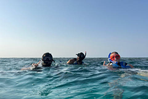 Jeddah: Red Sea Snorkeling and Diving Yacht Trip Diving