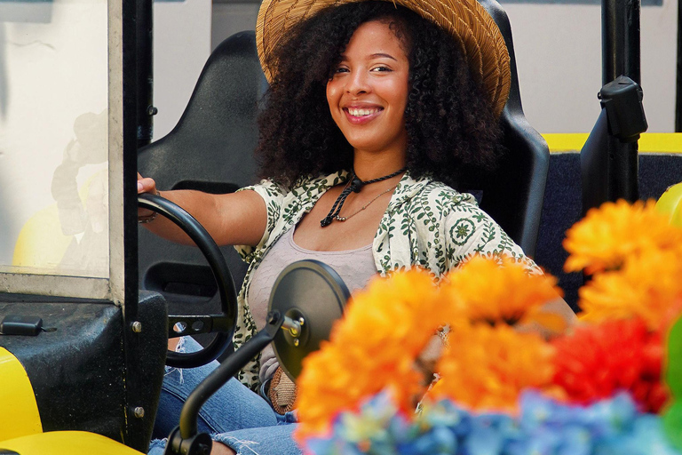 Panama City: Solo Traveler Experience in a 70's VW Buggy