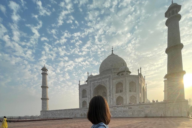 Desde Delhi: excursión de 1 día en tren al Taj Mahal y AgraTren de segunda clase (tour todo incluido)
