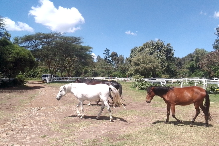 Paardrijtochtavontuur in Nairobi
