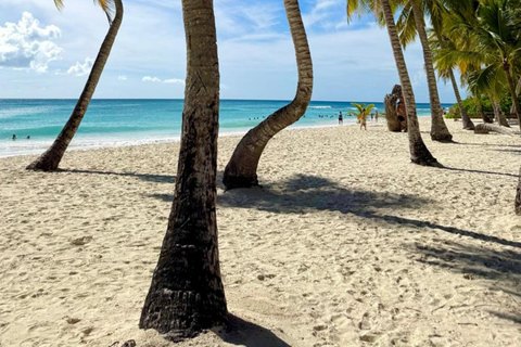 Punta Cana: Saona Island Paradise Catamaran Sightseeing Tour with Lunch and Drinks Punta Cana: Macao Beach and Local Dominican Experience