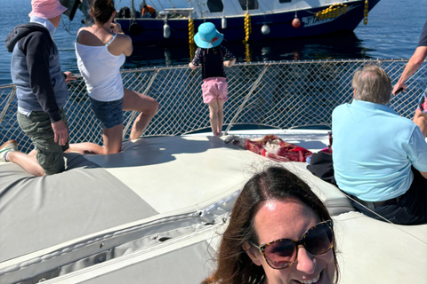 Estepona: Dolphins Searching Sea Cruise with Drink & Snacks Group Cruise