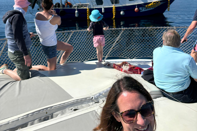 Estepona: Dolphins Searching Sea Cruise with Drink & Snacks Group Cruise