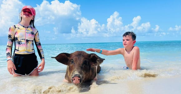 Nassau: Half-Day Swimming Pigs, Reef Snorkel & Beach Club