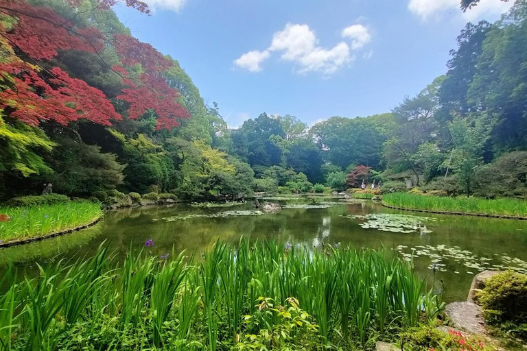 Kyoto: private and customized tour (walking/public transportation)4 hr guided tour