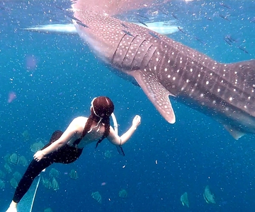 Cebu: Whale Shark Swim and Kawasan Canyoneering Tour