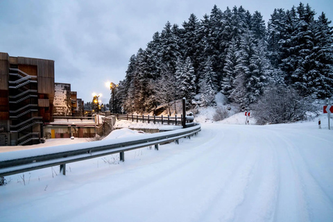 Géorgie : Circuit de 5 jours avec Tbilissi, Kakheti et Borjomi