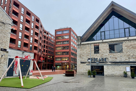 Tallinn: Kalamaja & Telliskivi Tram and Walking Tour