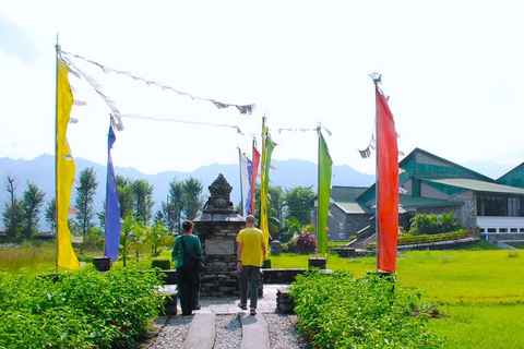 Entdecke das Pokhara-Tal: Höhlen, Museen und Tempel Tour