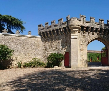 Excursão exclusiva aos châteaux de Saint-Émilion com degustações